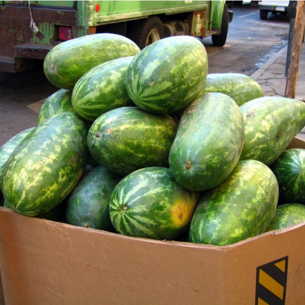 How to Ship Watermelons