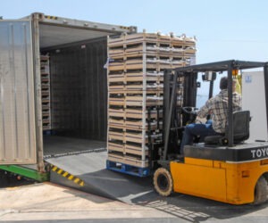 pallets being loaded onto a refrigerated trailer by a forklift