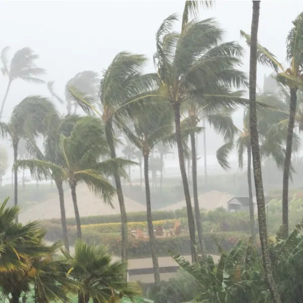 How Shippers Can Prepare for Hurricane Season
