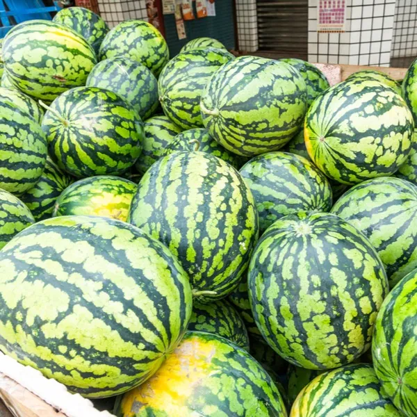 how to ship watermelons