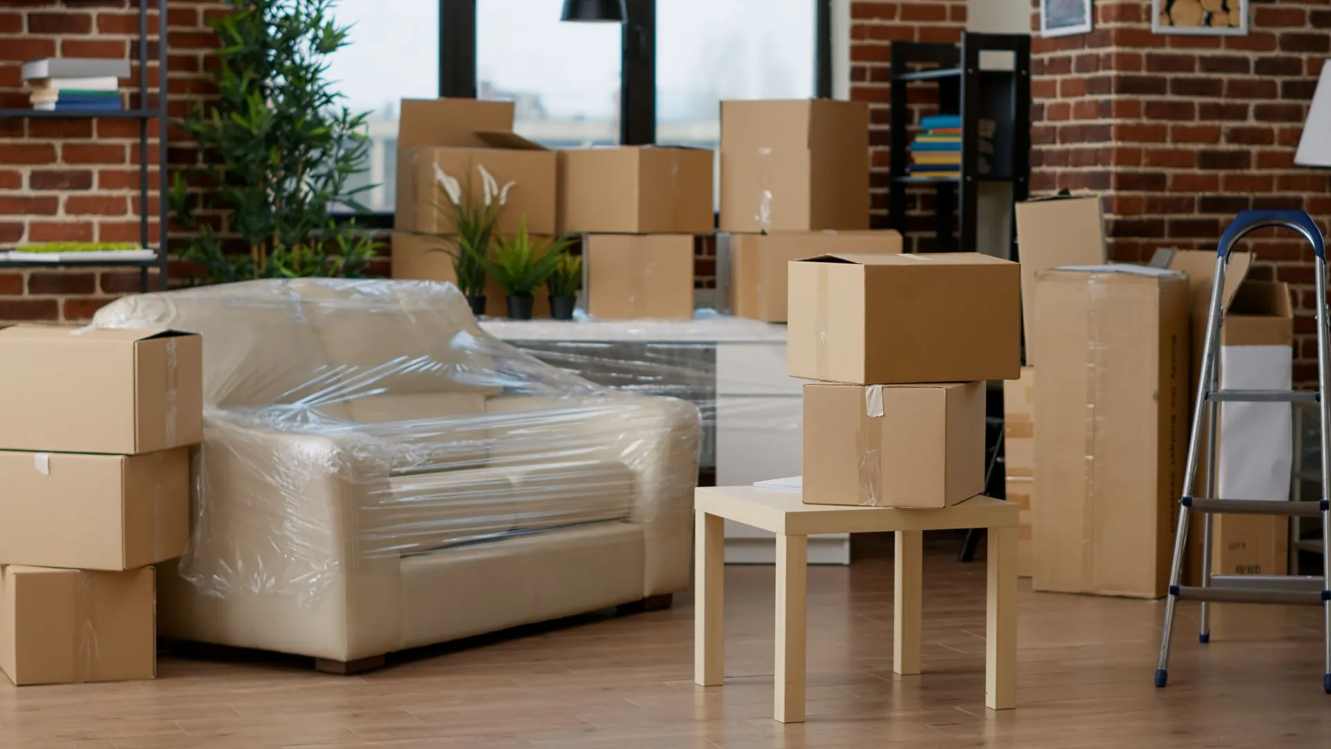 living-room-filled-with-moving-boxes-and-covered-couch
