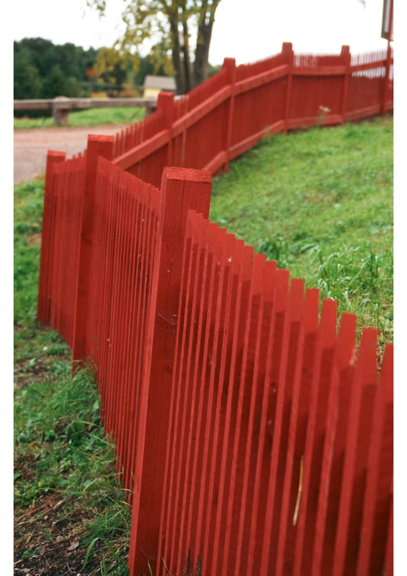 red wooden fences