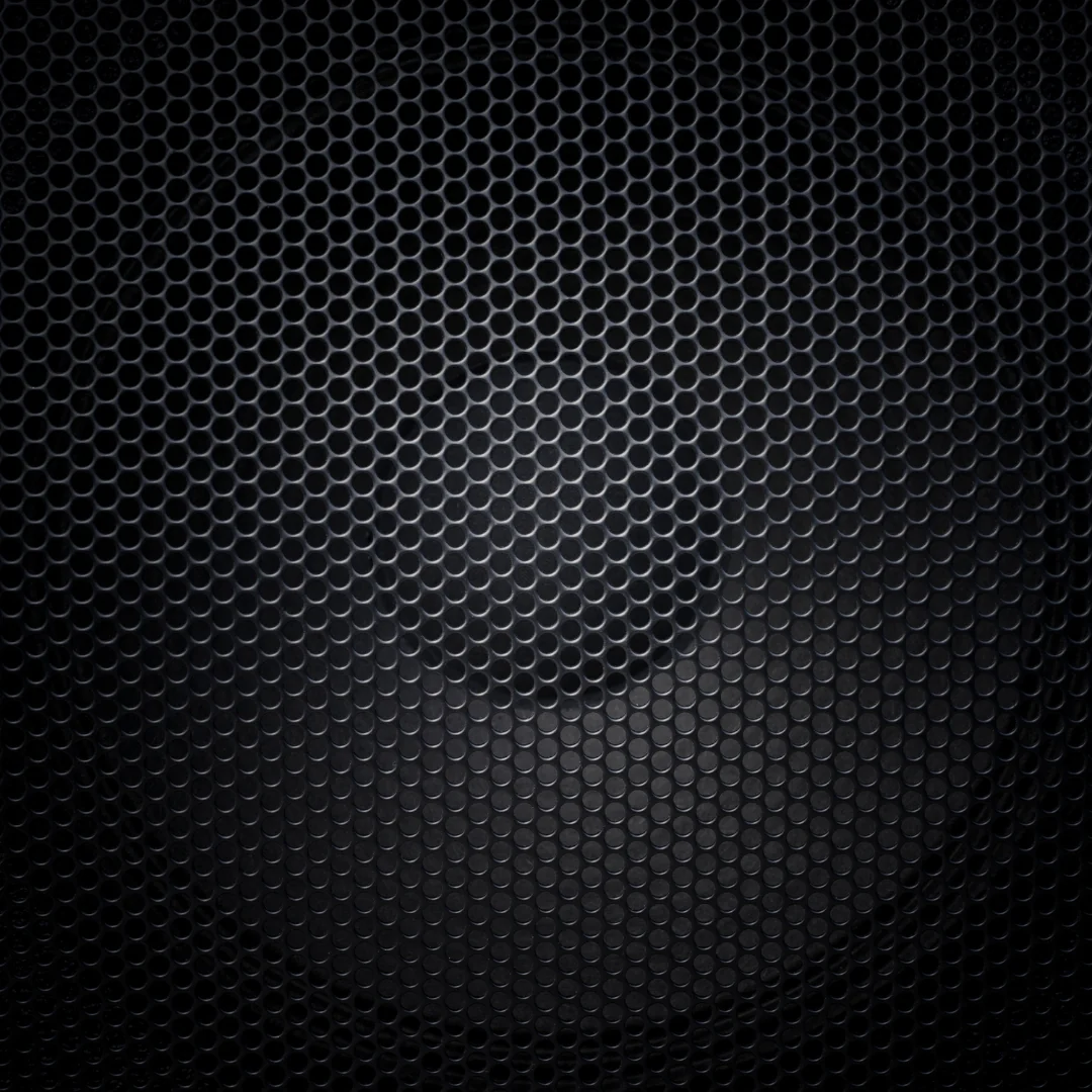 up close of a speaker with a black grill mesh