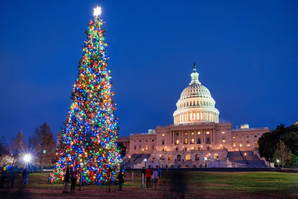 U.S. Christmas Tree