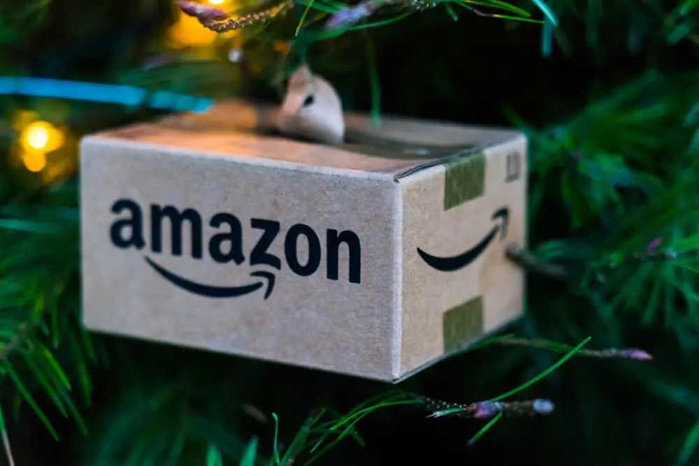 upclose view of a small amazon box christmas tree ornament hanging on tree