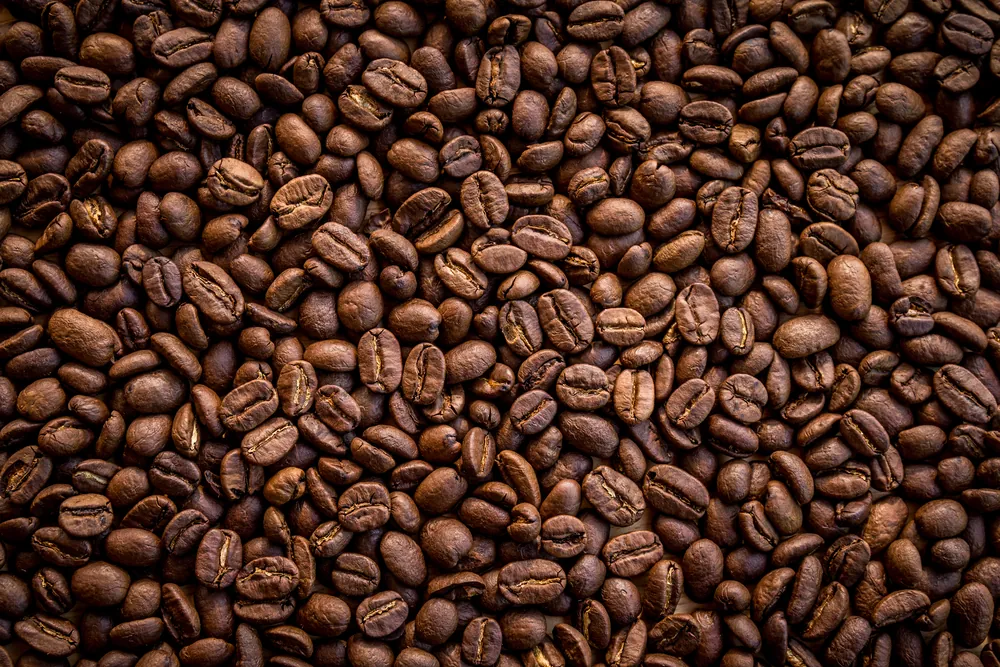 close up of coffee beans guide-to-shipping-coffee-beans