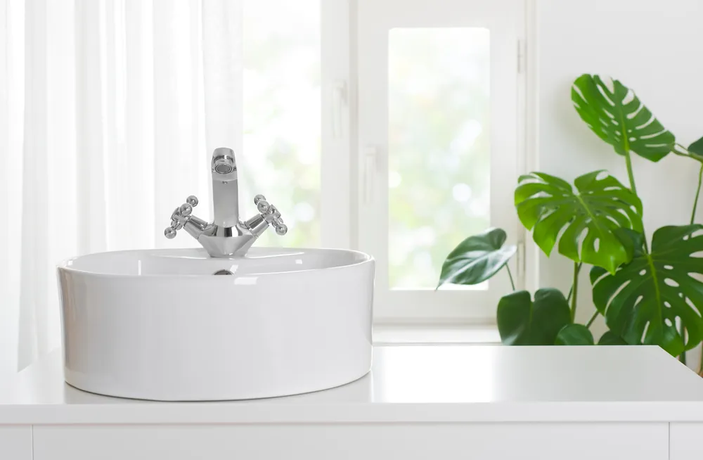 bathroom sink with green plant background