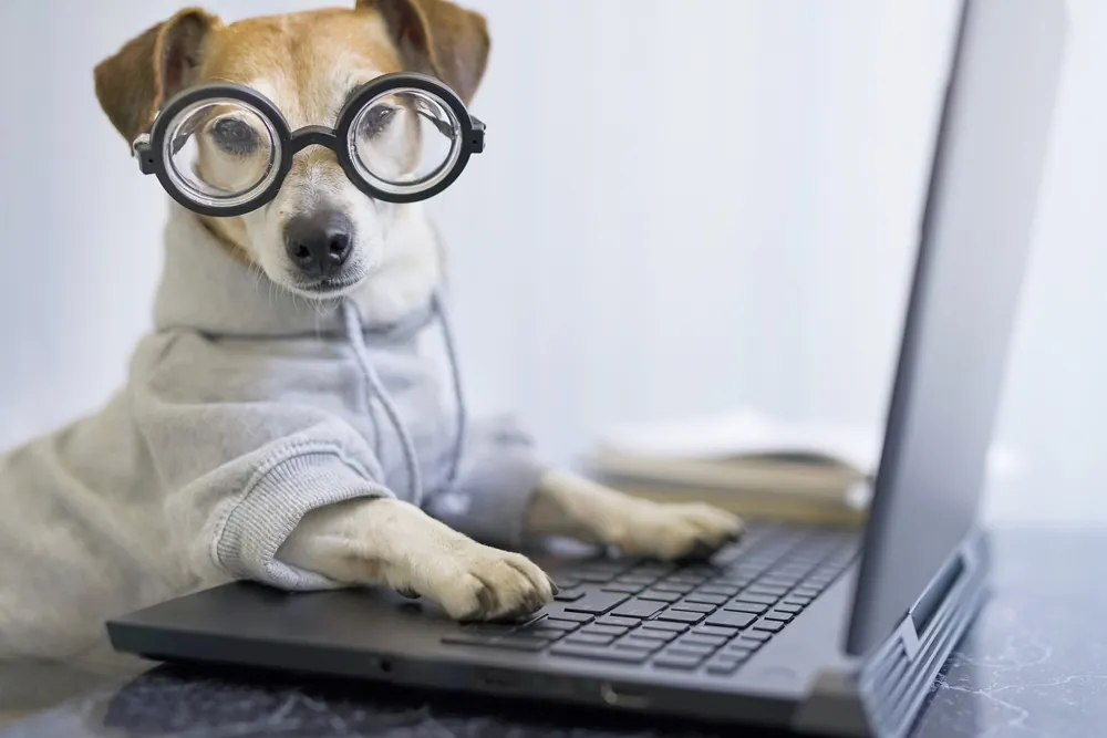 a dog sitting in front of a laptop computer wearing thick glasses