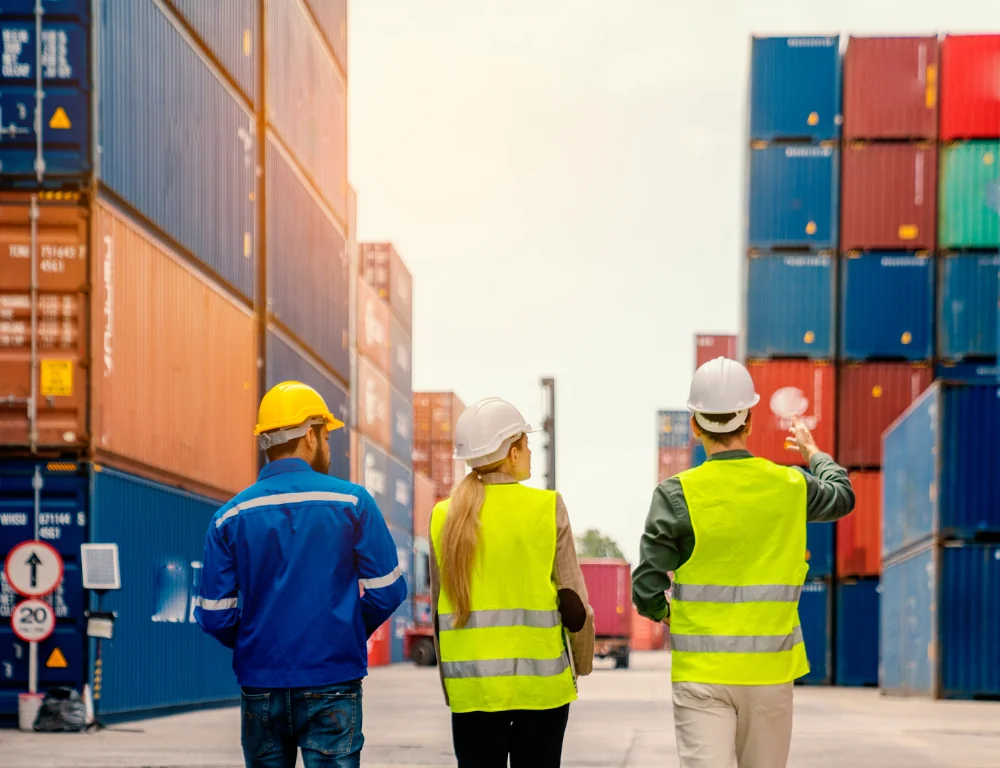 supply chain management