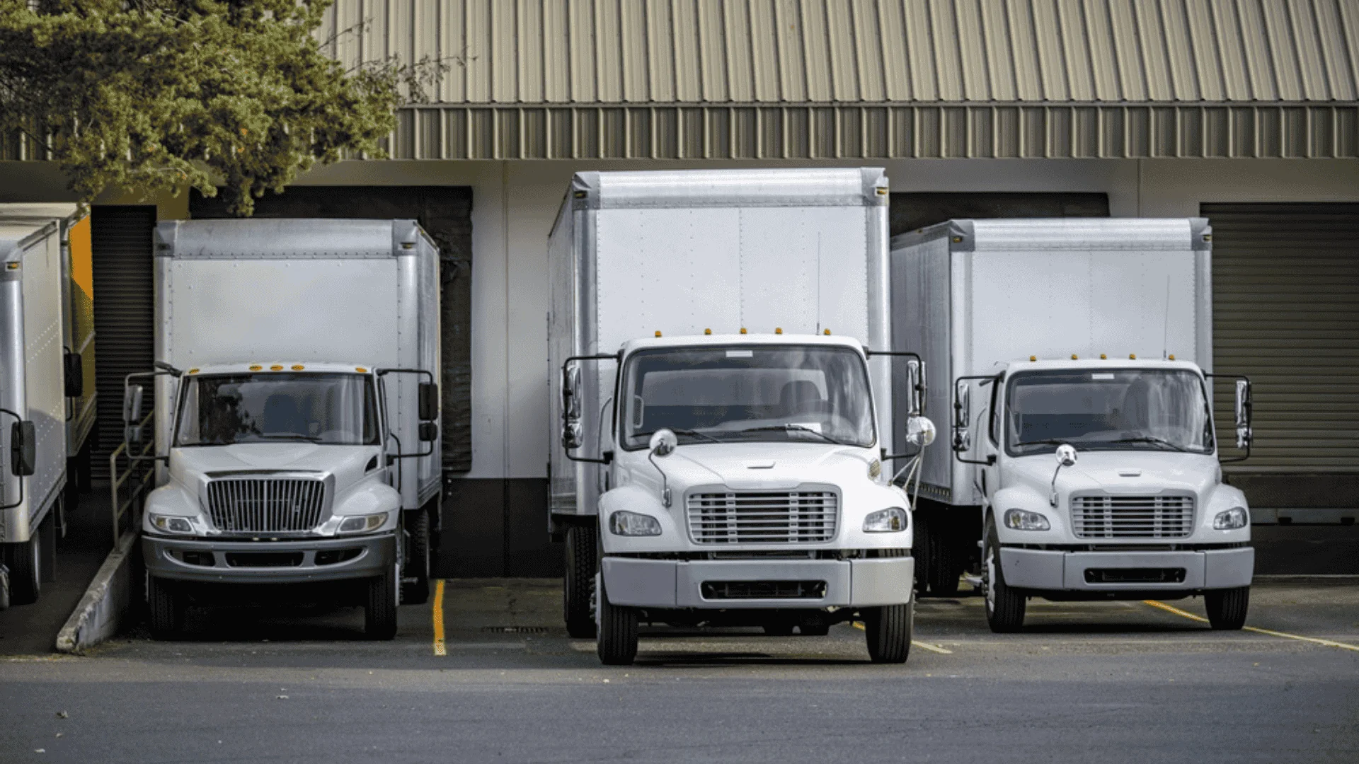 semi trucks with box trailers standing in warehouse dock