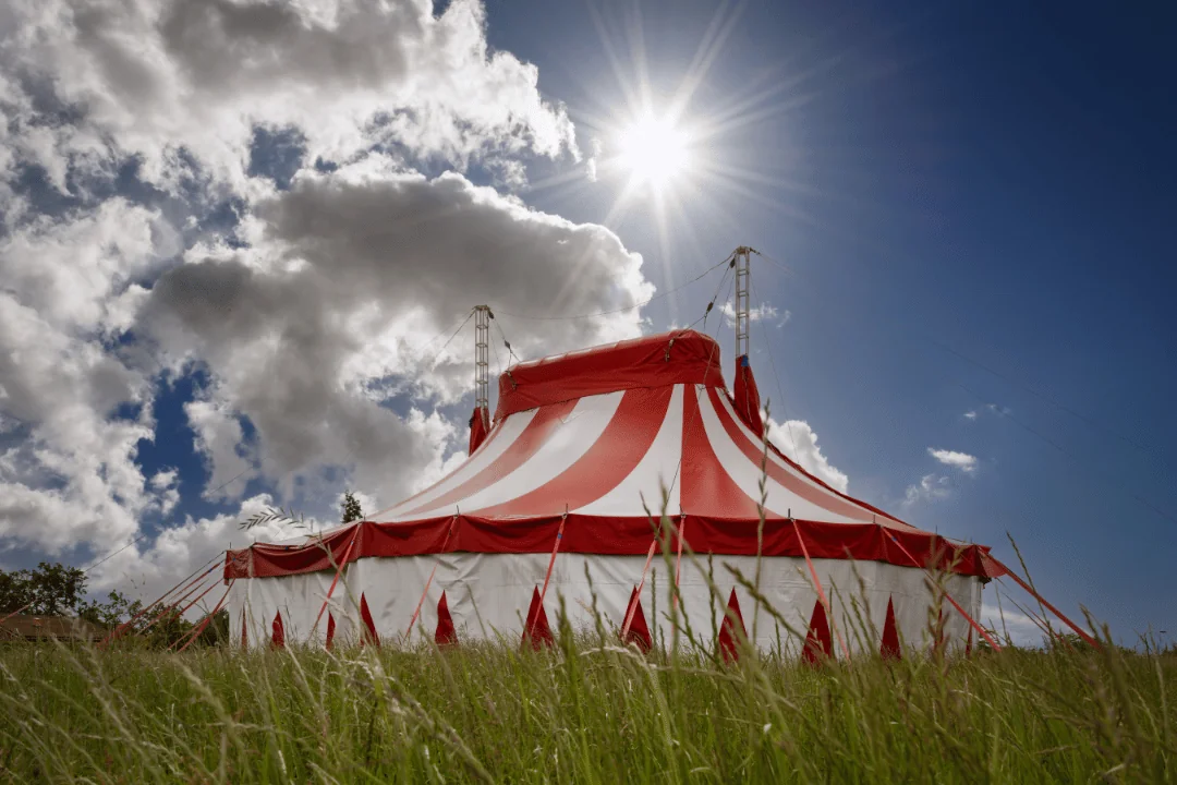 Freight Shipping Circuses colorful circus tent on green meadow against a partly cloudy sky