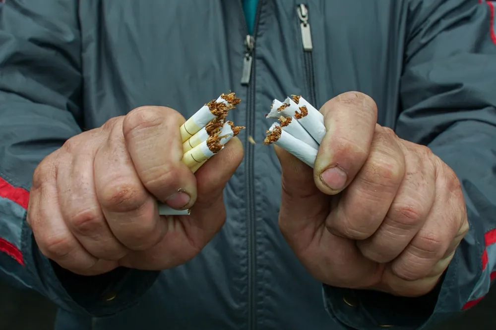 person breaking a bunch of cigs