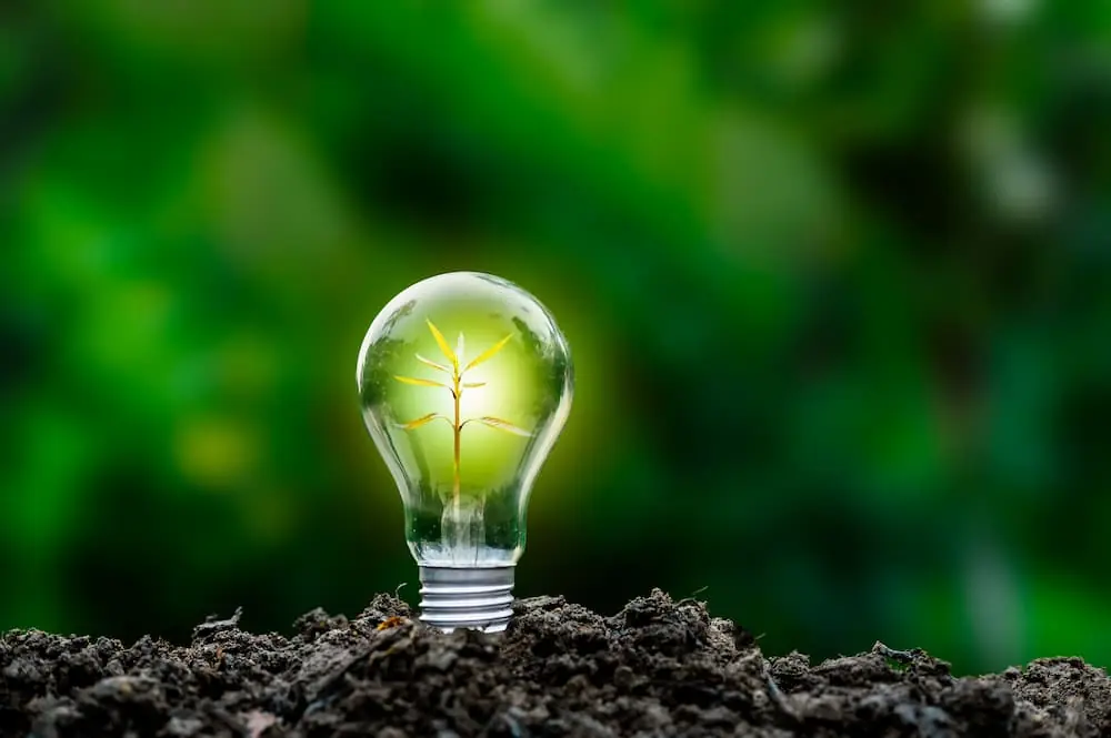 Freight Shipping in the Spring a lit lightbulb planted in the soil in a forest