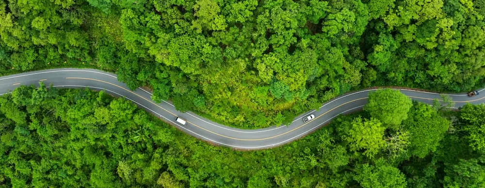 Freight Shipping in the Spring topdown aerial view of a winding rural road in a forest