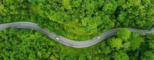 The Spring Break Effect aerial topdown view of vehicles on forested highway during a late spring day PREVIEW VERSION