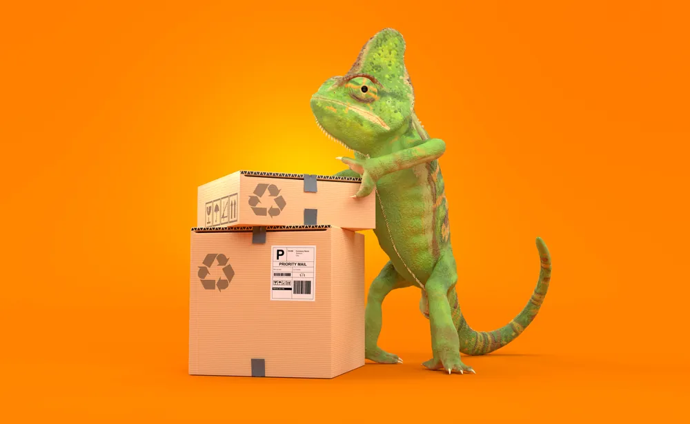 The Rise and Fight Against Chameleon Carriers green chameleon standing up holding parcel boxes