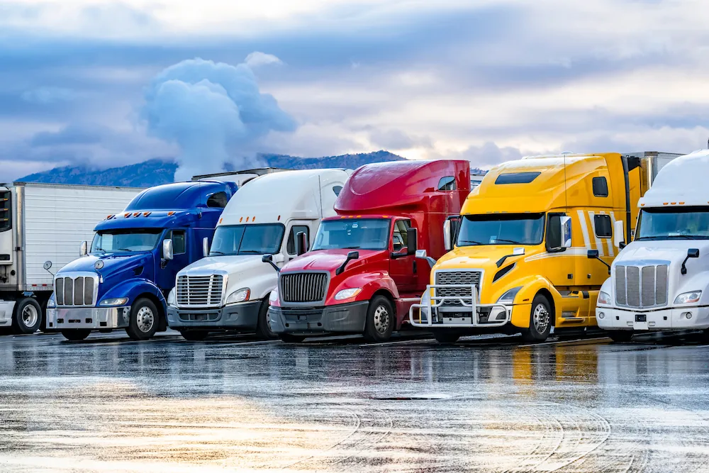 lineup of trucks
