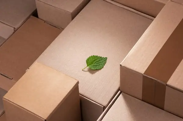 Try Before You Buy green leaf on top of cardboard boxes
