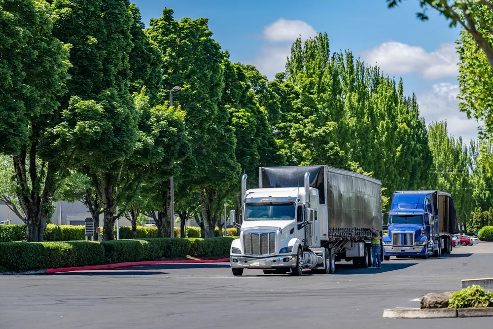trucks on road next to trees
